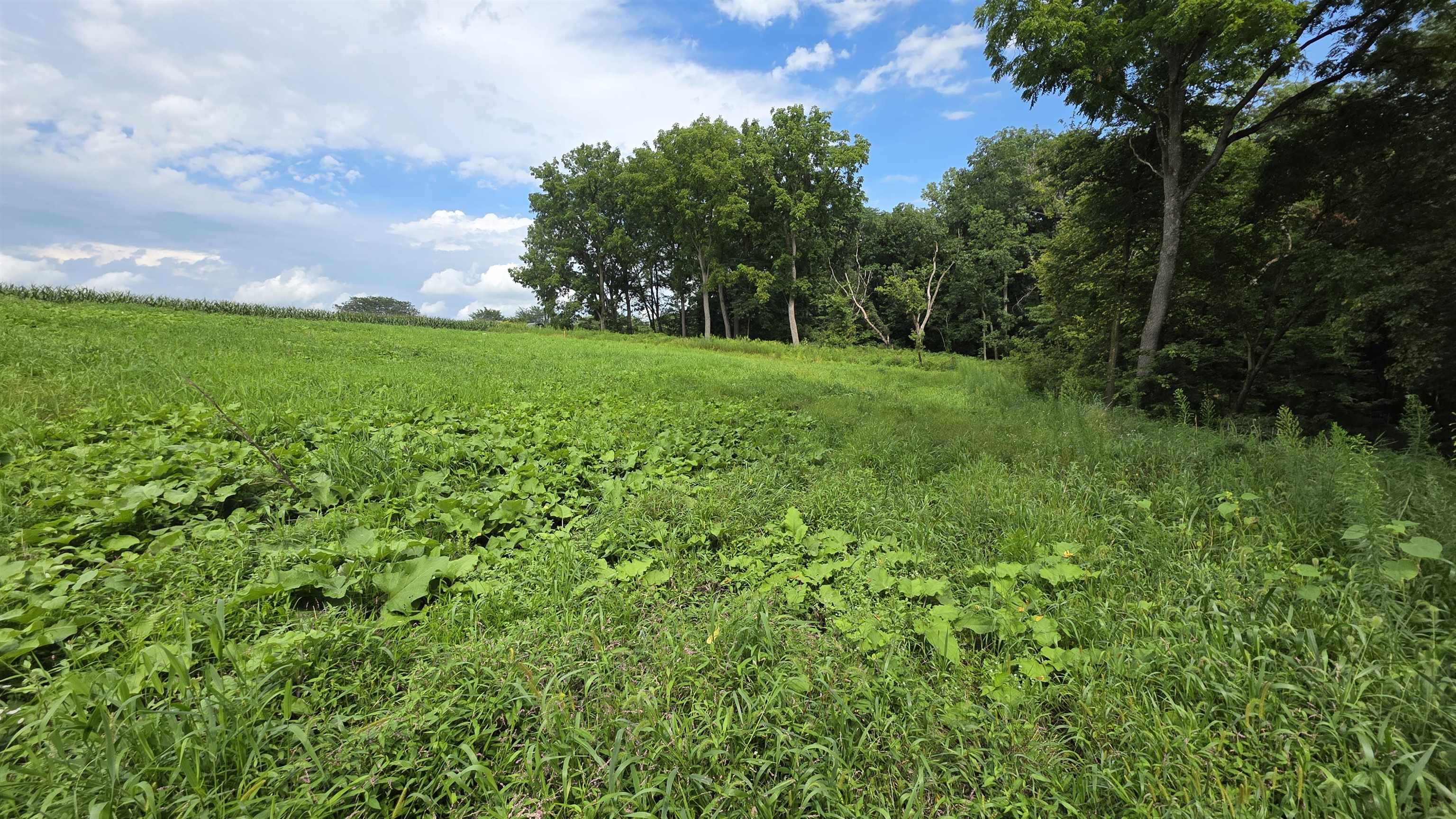 4795 Steiger Road Potosi, WI 53820 - Photo 13 of 25 Gallery Image 13