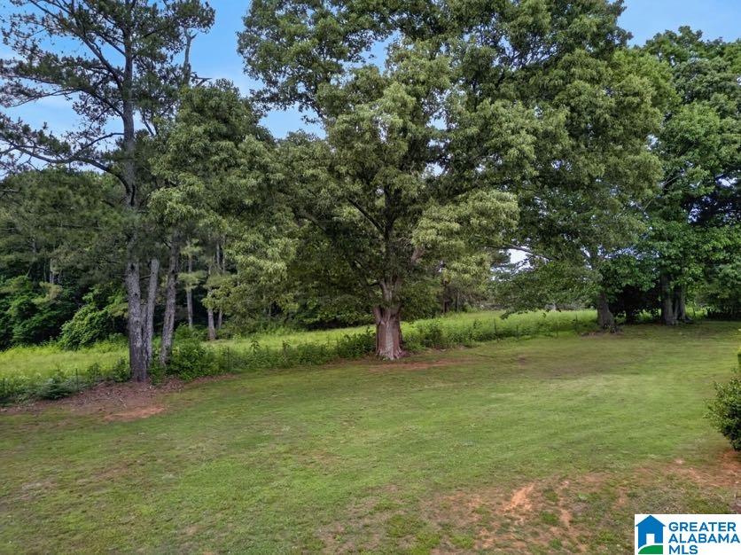 15 Fast Lane Ranburne, AL 36273 - Photo 4 of 51