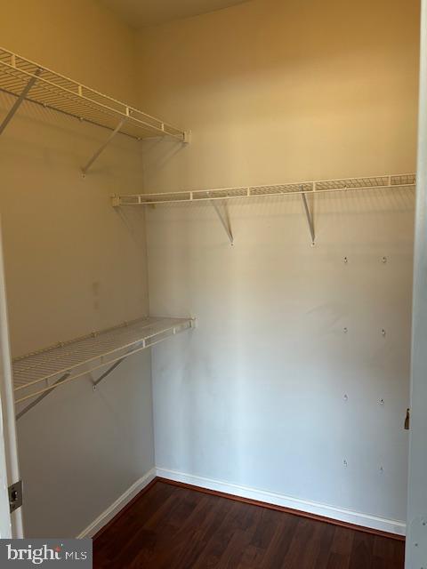 4138 Fountainside Lane, Unit 202 Fairfax, VA 22030 - Photo 27 of 36 Walk-in Closet