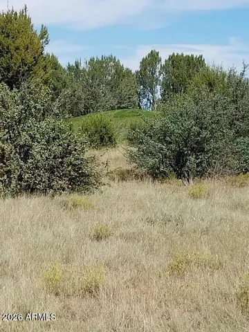 $54,900 | 8388 Lake View Drive, Unit 27, Show Low, AZ 85901