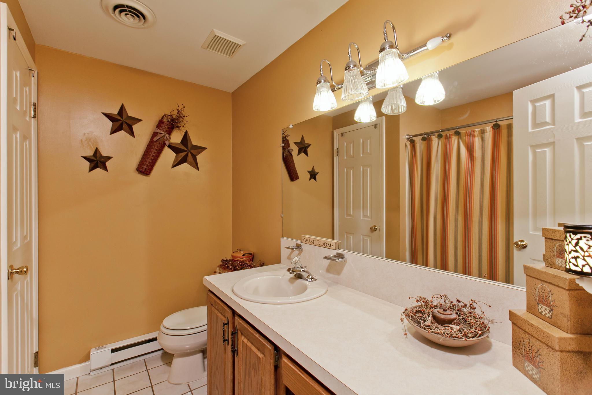 890 Paradise Valley Road Falling Waters, WV 25419 - Photo 19 of 30 Bath