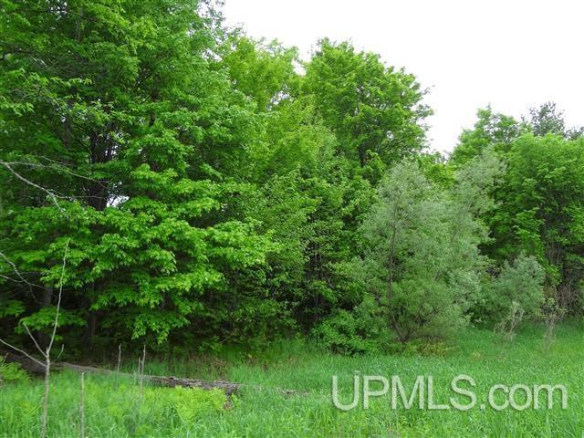 160 Burke Road Crystal Falls, MI 49920 - Photo 19 of 24 Gallery Image 19