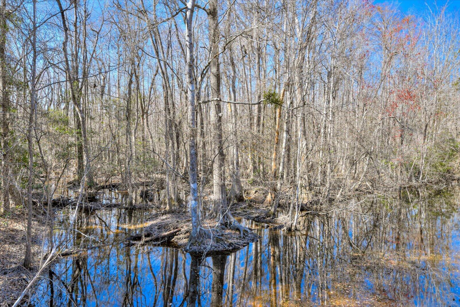 1114 Lott Bluff Road Blackville, SC 29817 - Photo 68 of 164