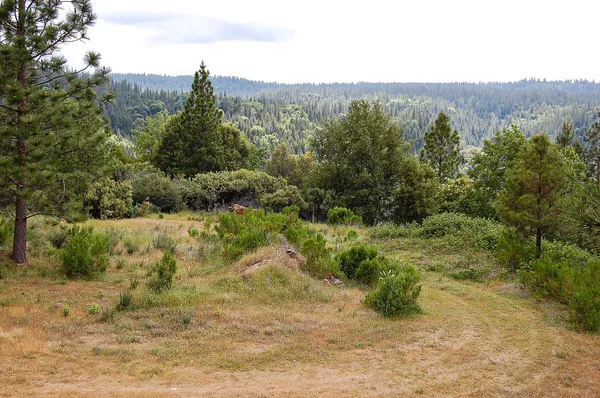 a view of a yard of a house