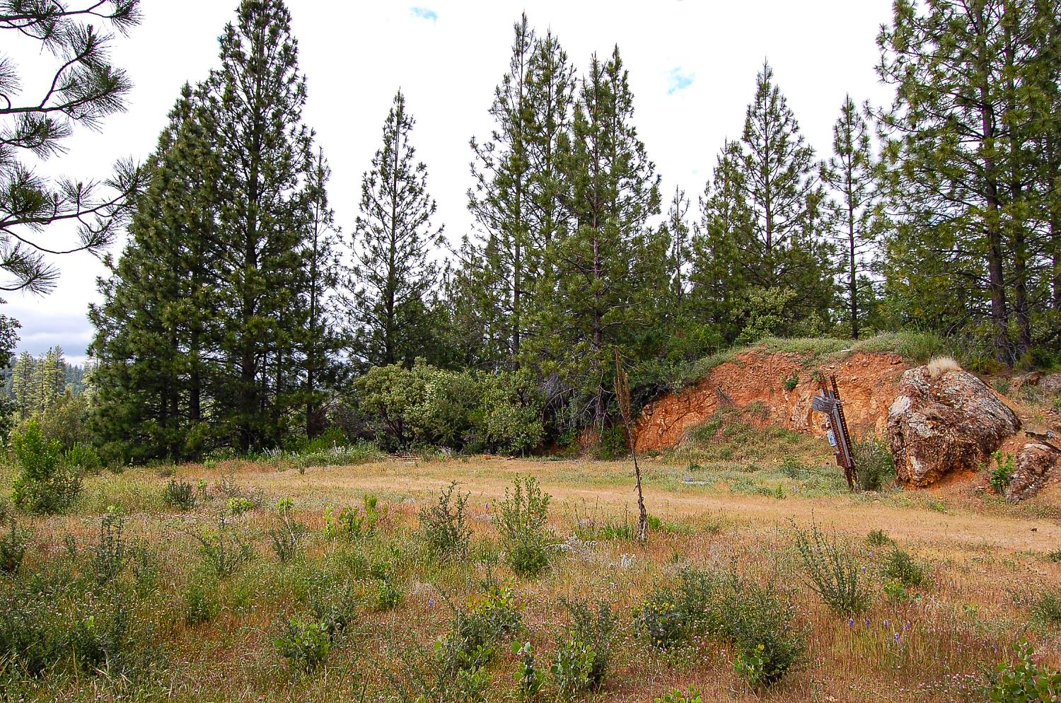2676 Silver Mountain Road Rail Road Flat, CA 95248 - Photo 13 of 76 a view of a yard with trees