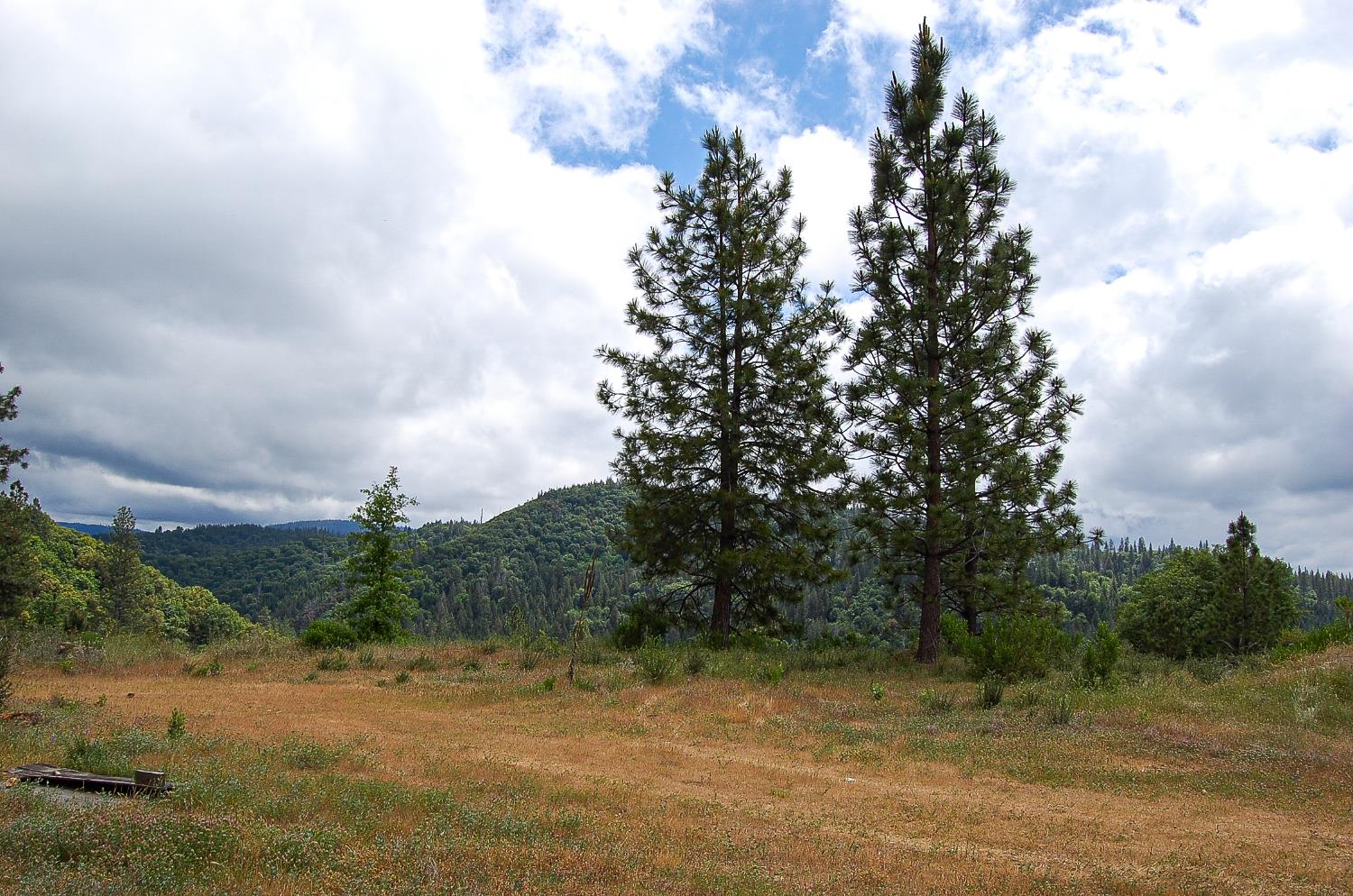 2676 Silver Mountain Road Rail Road Flat, CA 95248 - Photo 19 of 76 a view of a yard with plants and trees