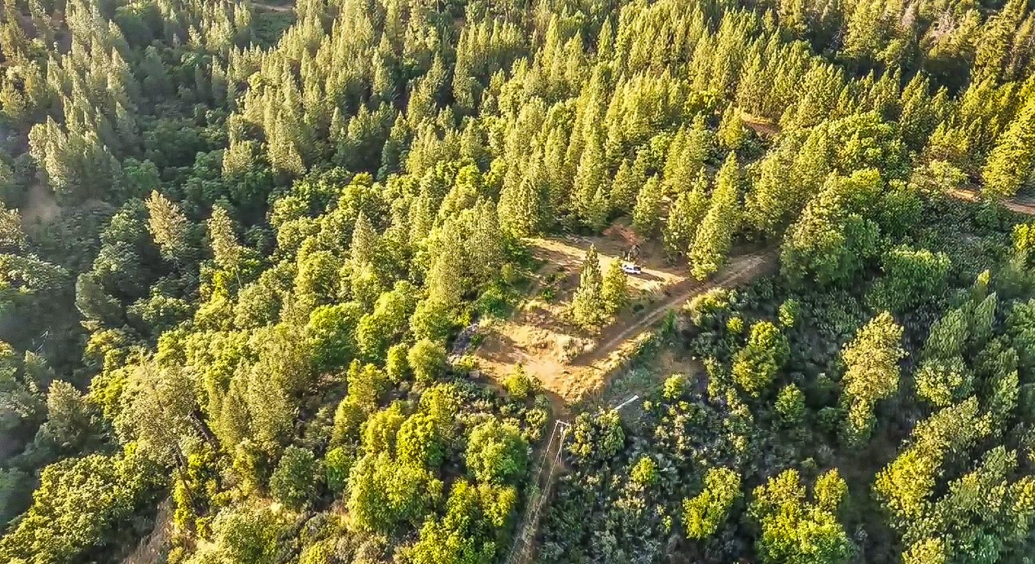 2676 Silver Mountain Road Rail Road Flat, CA 95248 - Photo 2 of 76 a view of a yard of a house