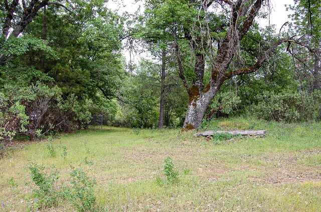 a view of outdoor space and yard
