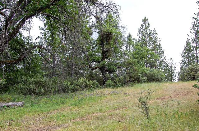 a view of a green field with lots of green space