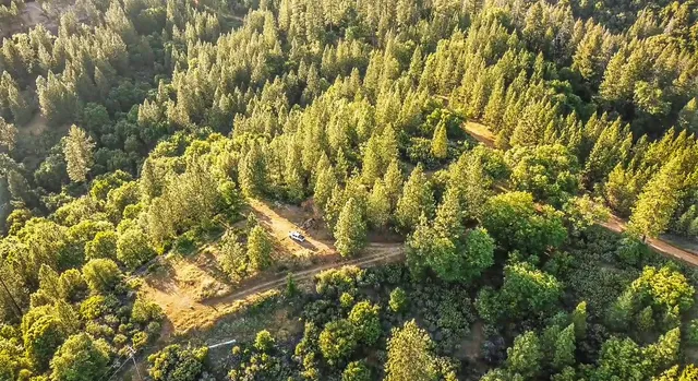 a view of a field with a tree in the background
