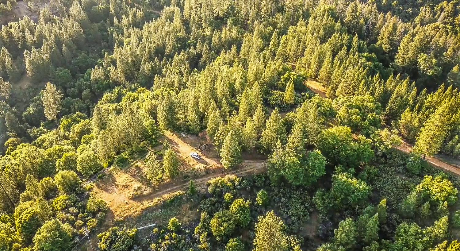 2676 Silver Mountain Road Rail Road Flat, CA 95248 - Photo 3 of 76 a view of a yard