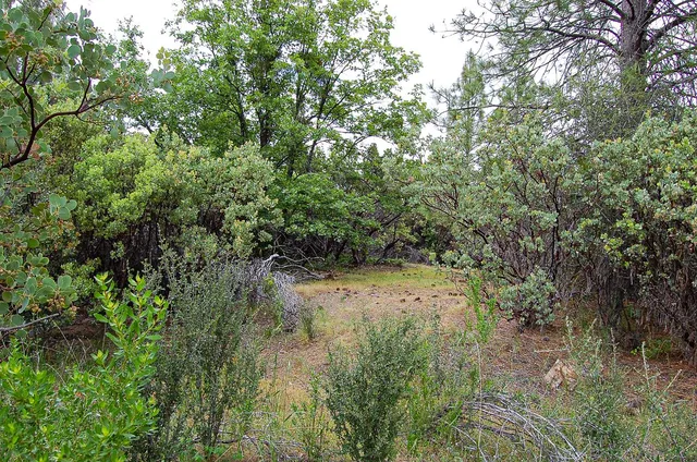 a view of a field with trees in the background
