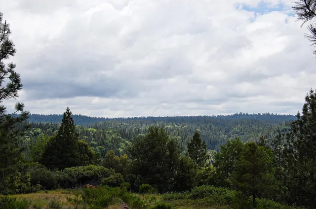a view of a lake with a yard