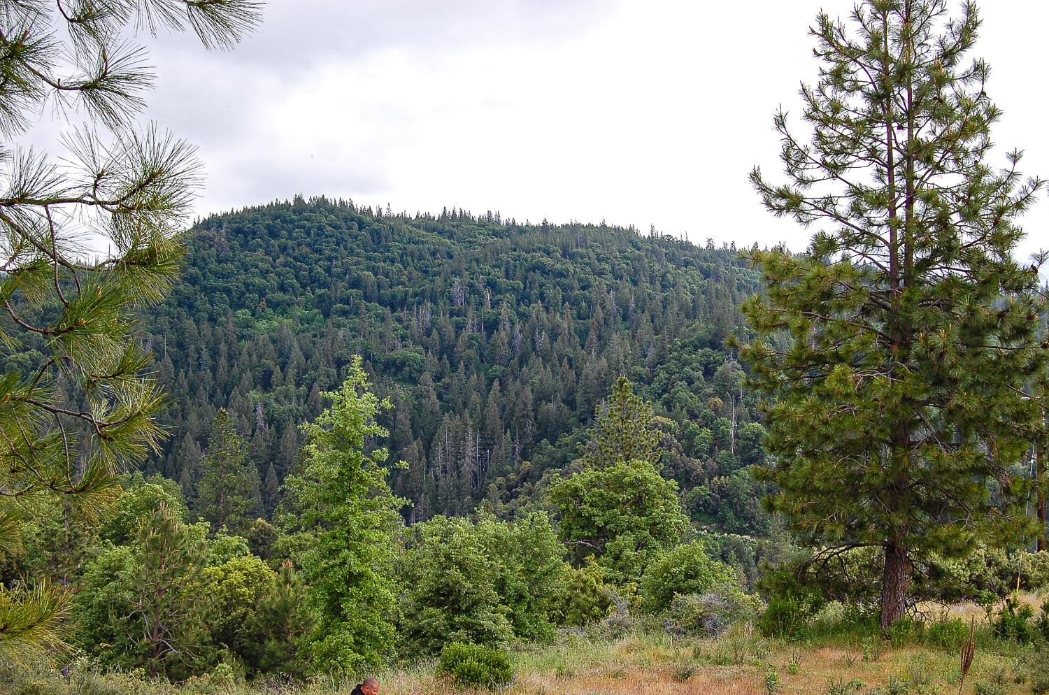 2676 Silver Mountain Road Rail Road Flat, CA 95248 - Photo 39 of 76 a view of a house with a street