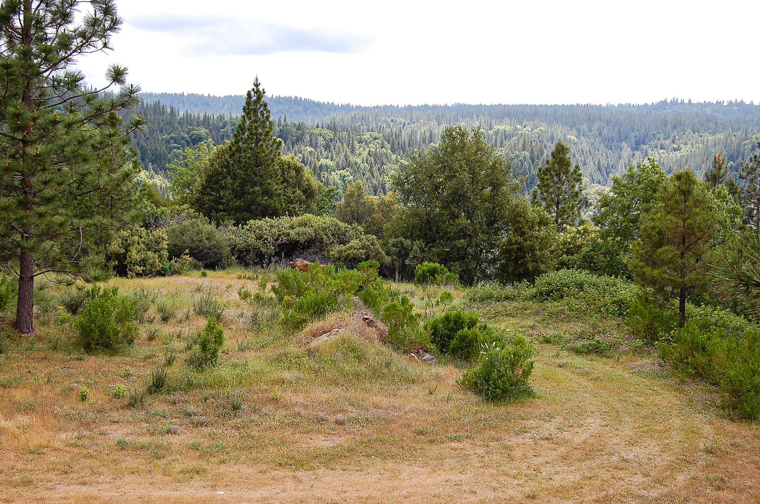 2676 Silver Mountain Road Rail Road Flat, CA 95248 - Photo 40 of 76