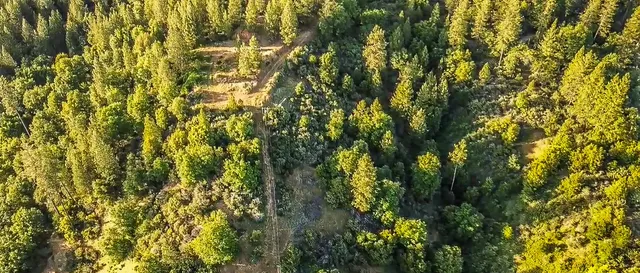 a view of outdoor space with trees