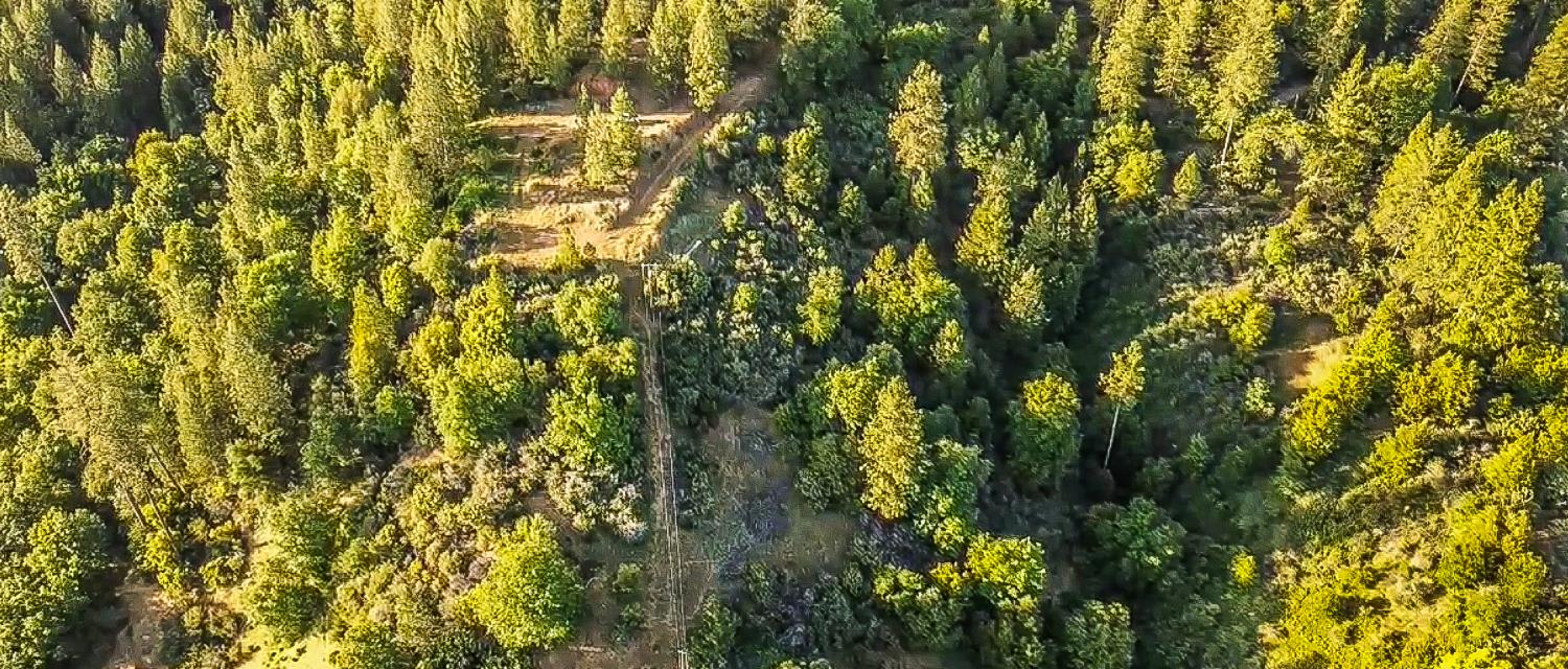 2676 Silver Mountain Road Rail Road Flat, CA 95248 - Photo 4 of 76