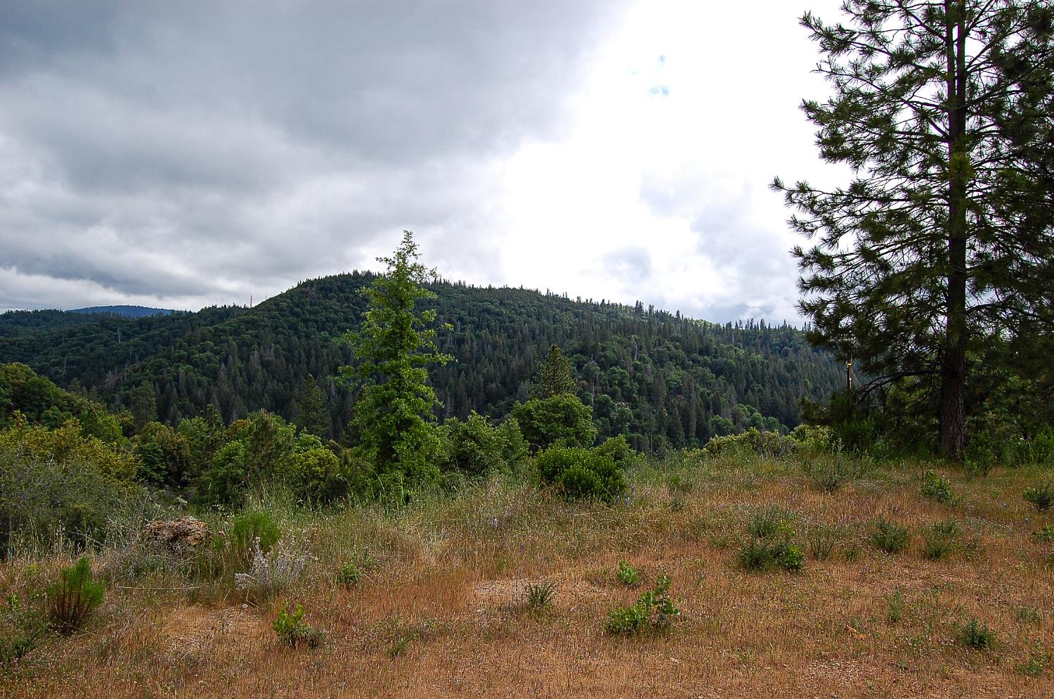 2676 Silver Mountain Road Rail Road Flat, CA 95248 - Photo 41 of 76