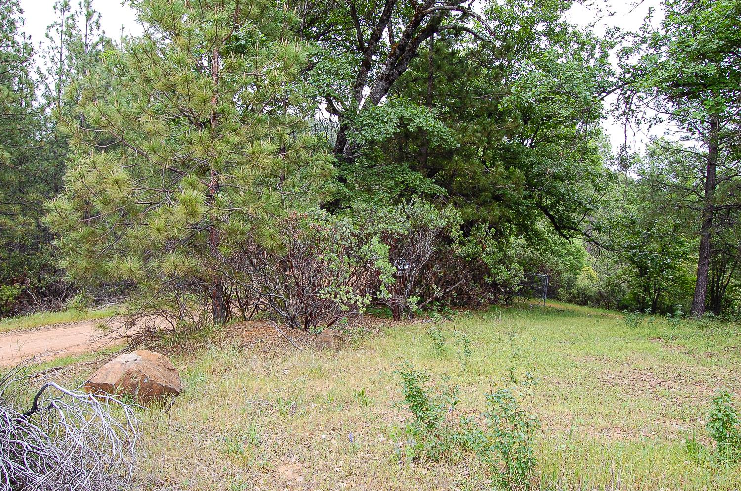 2676 Silver Mountain Road Rail Road Flat, CA 95248 - Photo 43 of 76