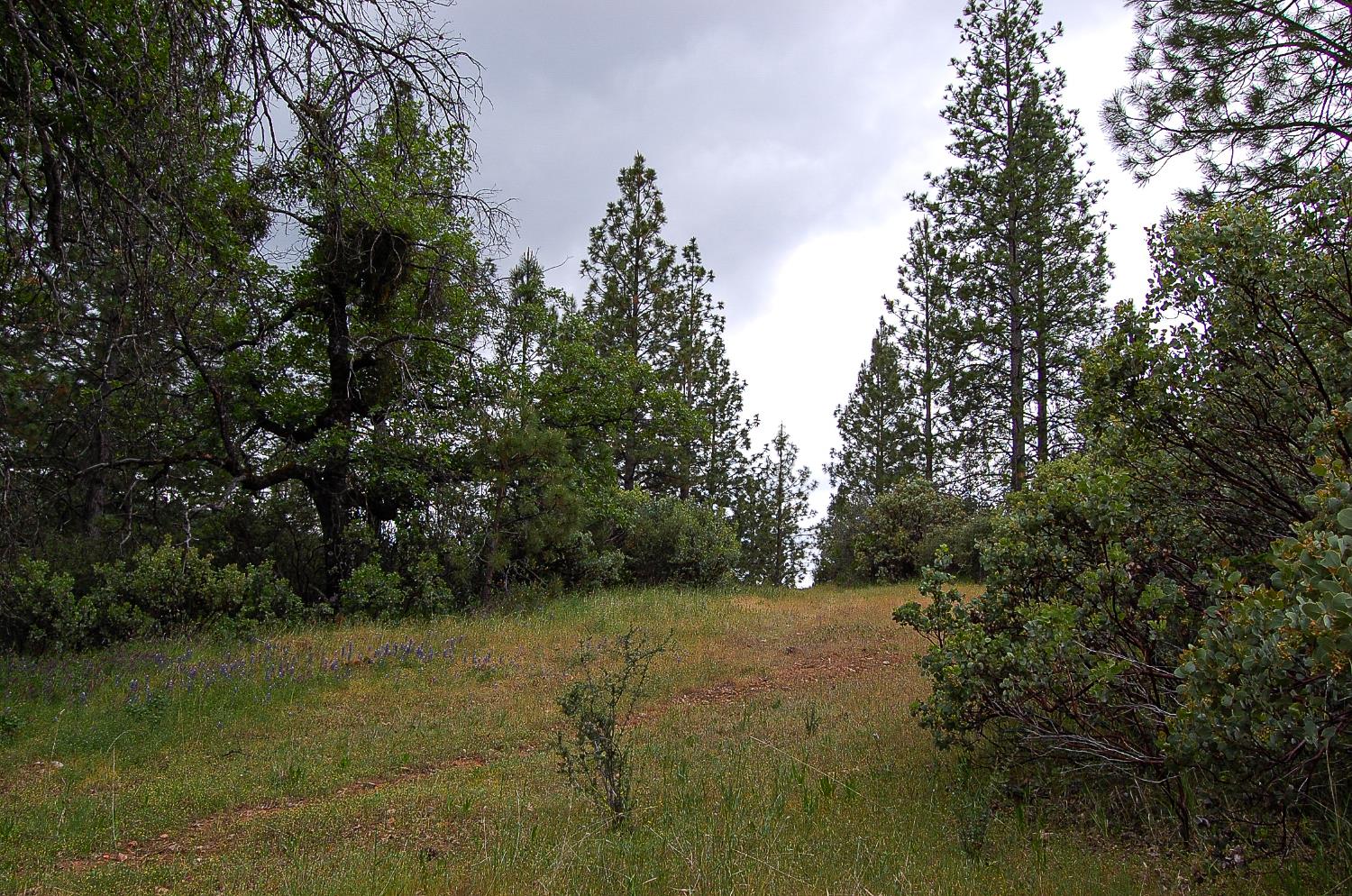 2676 Silver Mountain Road Rail Road Flat, CA 95248 - Photo 46 of 76