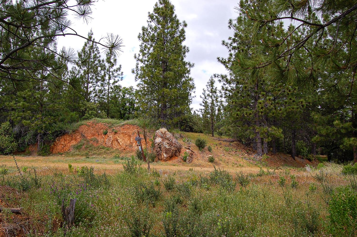 2676 Silver Mountain Road Rail Road Flat, CA 95248 - Photo 47 of 76