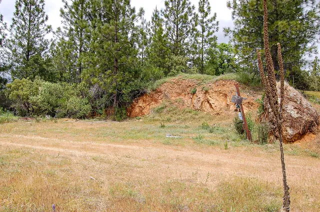 a view of a yard with an trees