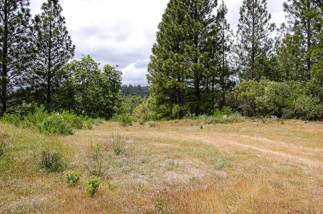 a view of a lake from a yard