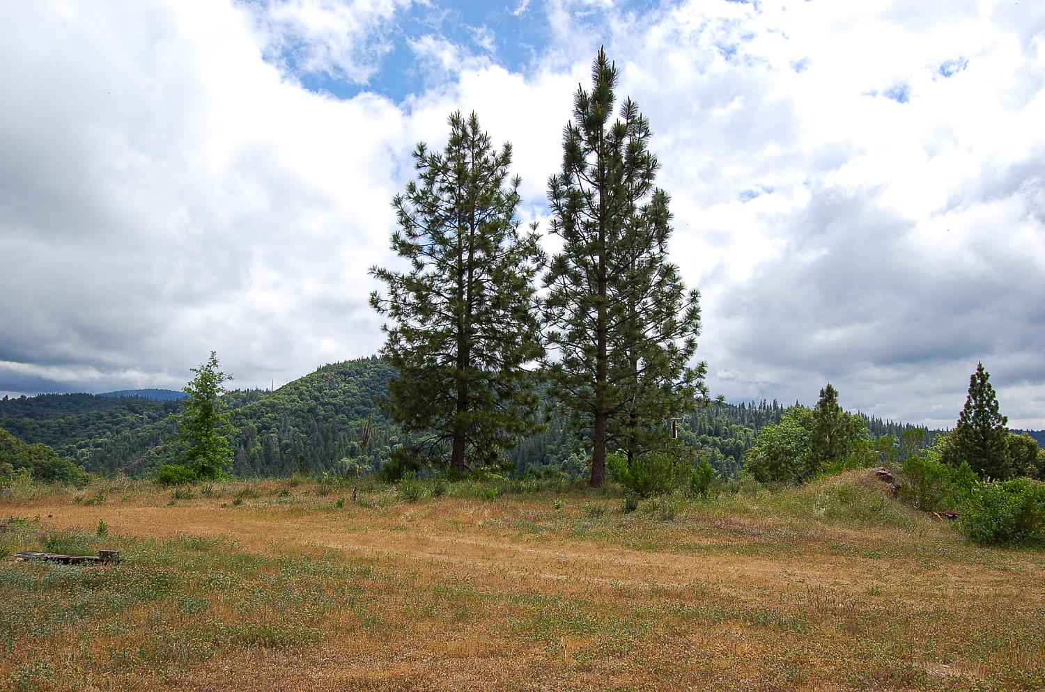 2676 Silver Mountain Road Rail Road Flat, CA 95248 - Photo 53 of 76 a view of a field with trees in the background