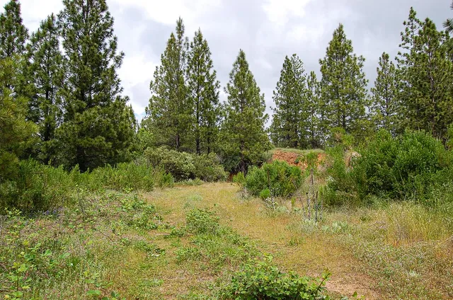 $165,000 | 2676 Silver Mountain Road, Rail Road Flat, CA 95248