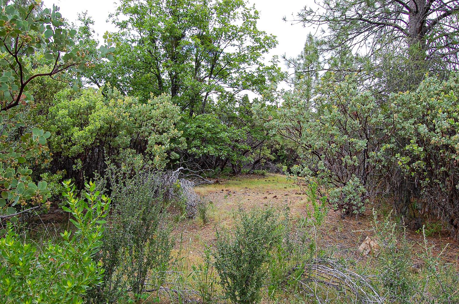 2676 Silver Mountain Road Rail Road Flat, CA 95248 - Photo 54 of 76