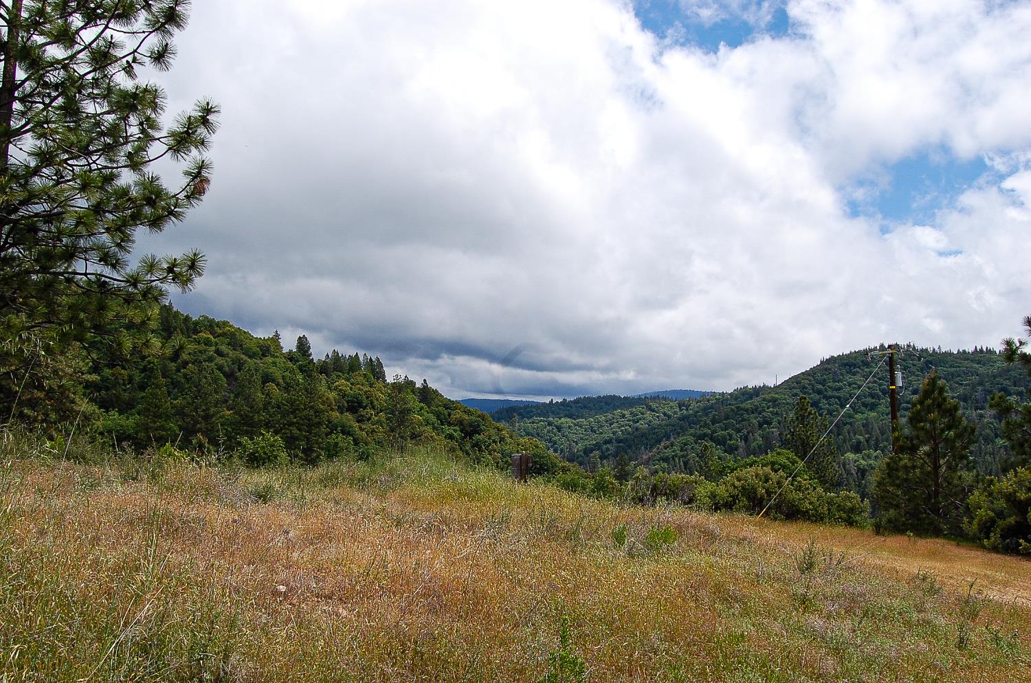 2676 Silver Mountain Road Rail Road Flat, CA 95248 - Photo 55 of 76 a view of a field with trees in the background