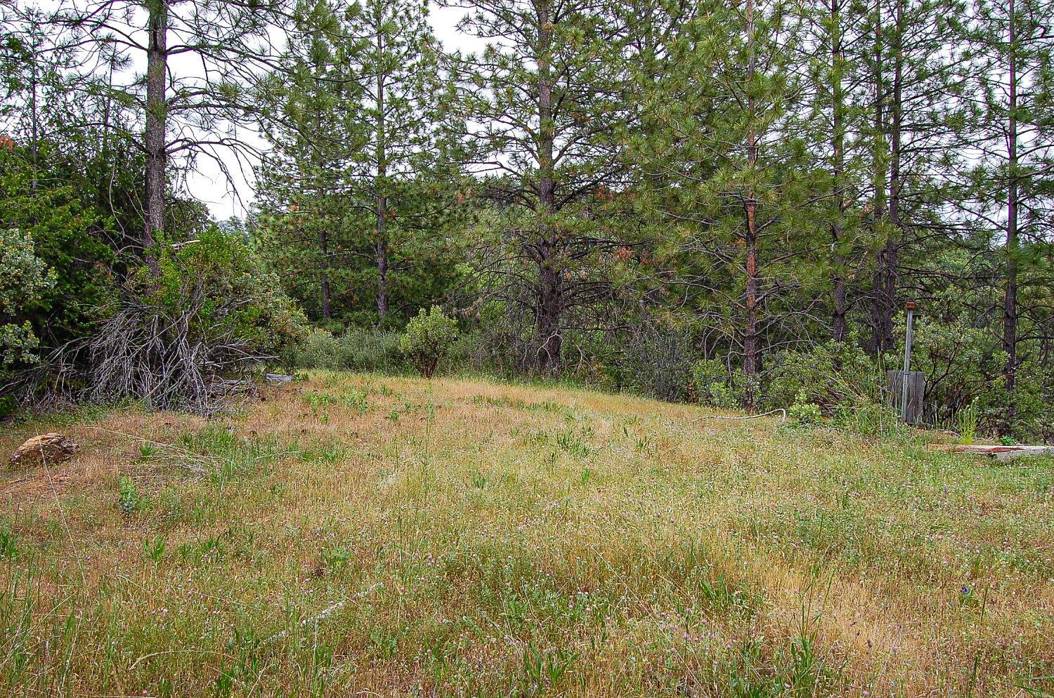 2676 Silver Mountain Road Rail Road Flat, CA 95248 - Photo 55 of 76 a view of outdoor space and yard