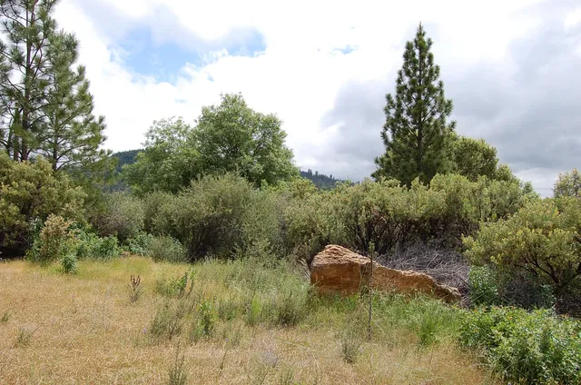 $165,000 | 2676 Silver Mountain Road, Rail Road Flat, CA 95248