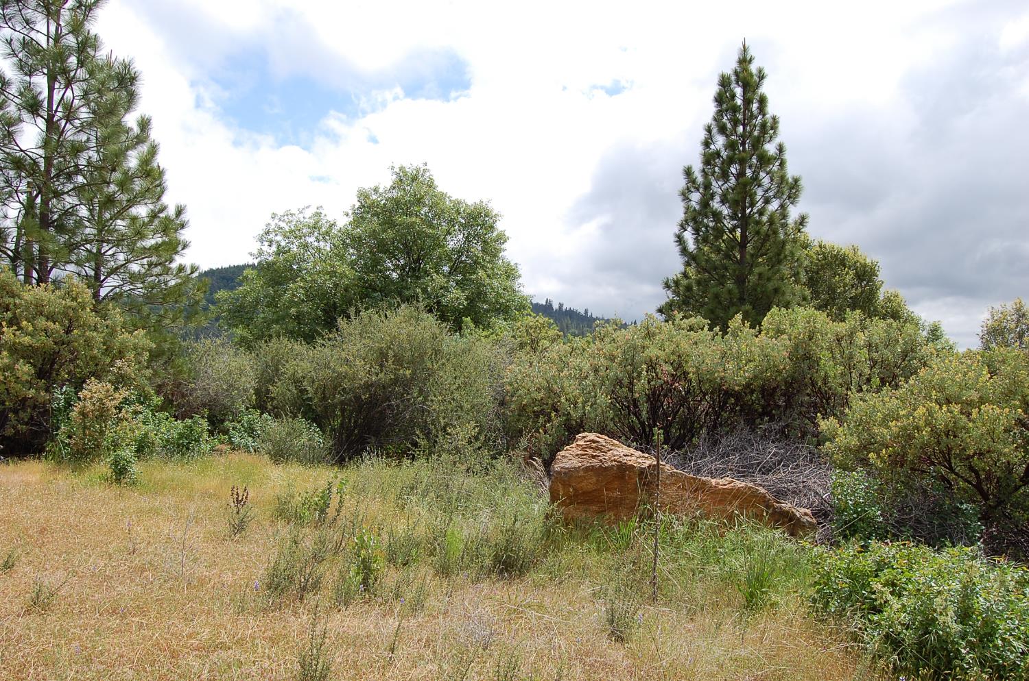 2676 Silver Mountain Road Rail Road Flat, CA 95248 - Photo 56 of 76