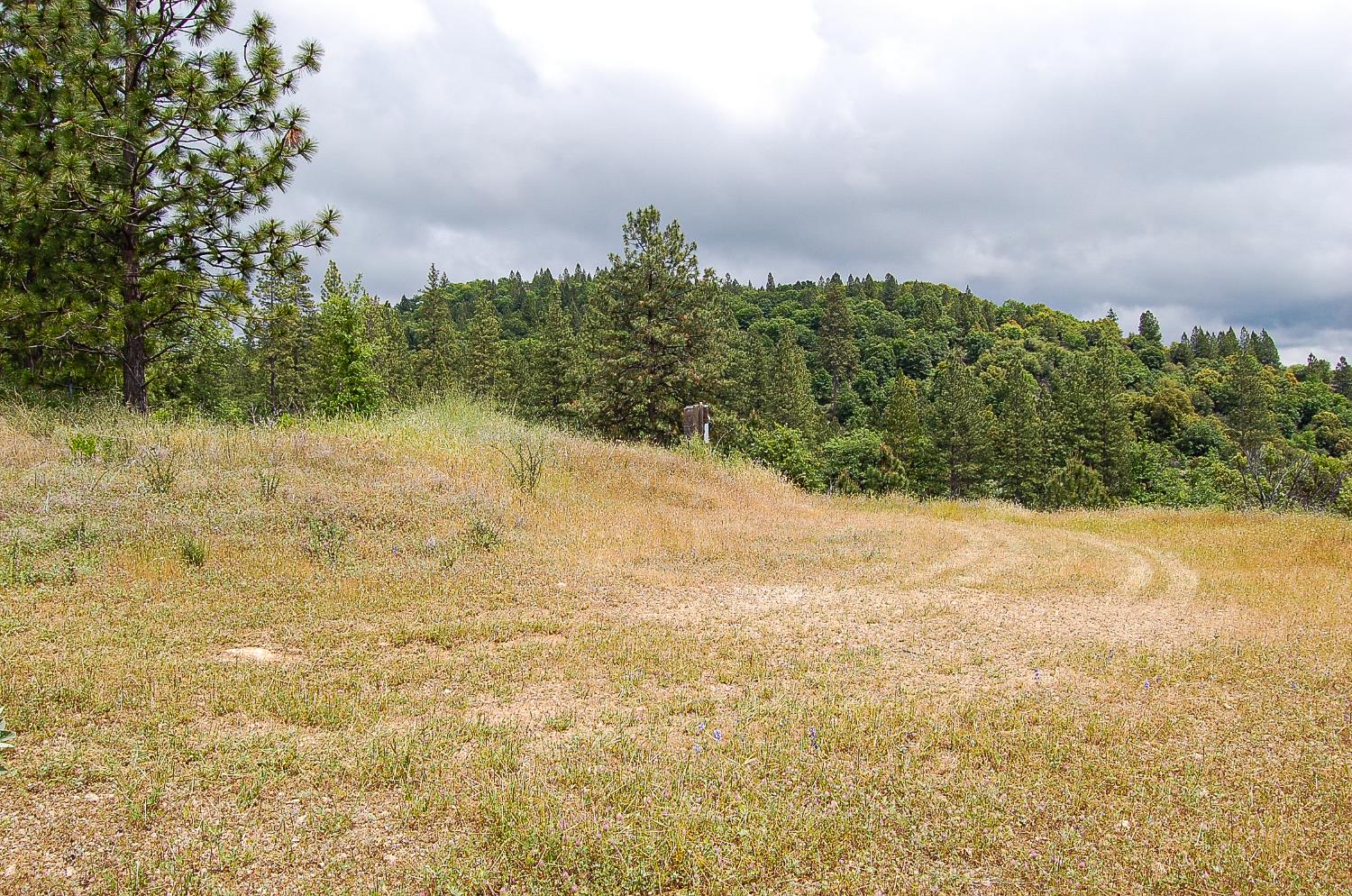 2676 Silver Mountain Road Rail Road Flat, CA 95248 - Photo 57 of 76 a view of a lake with a yard