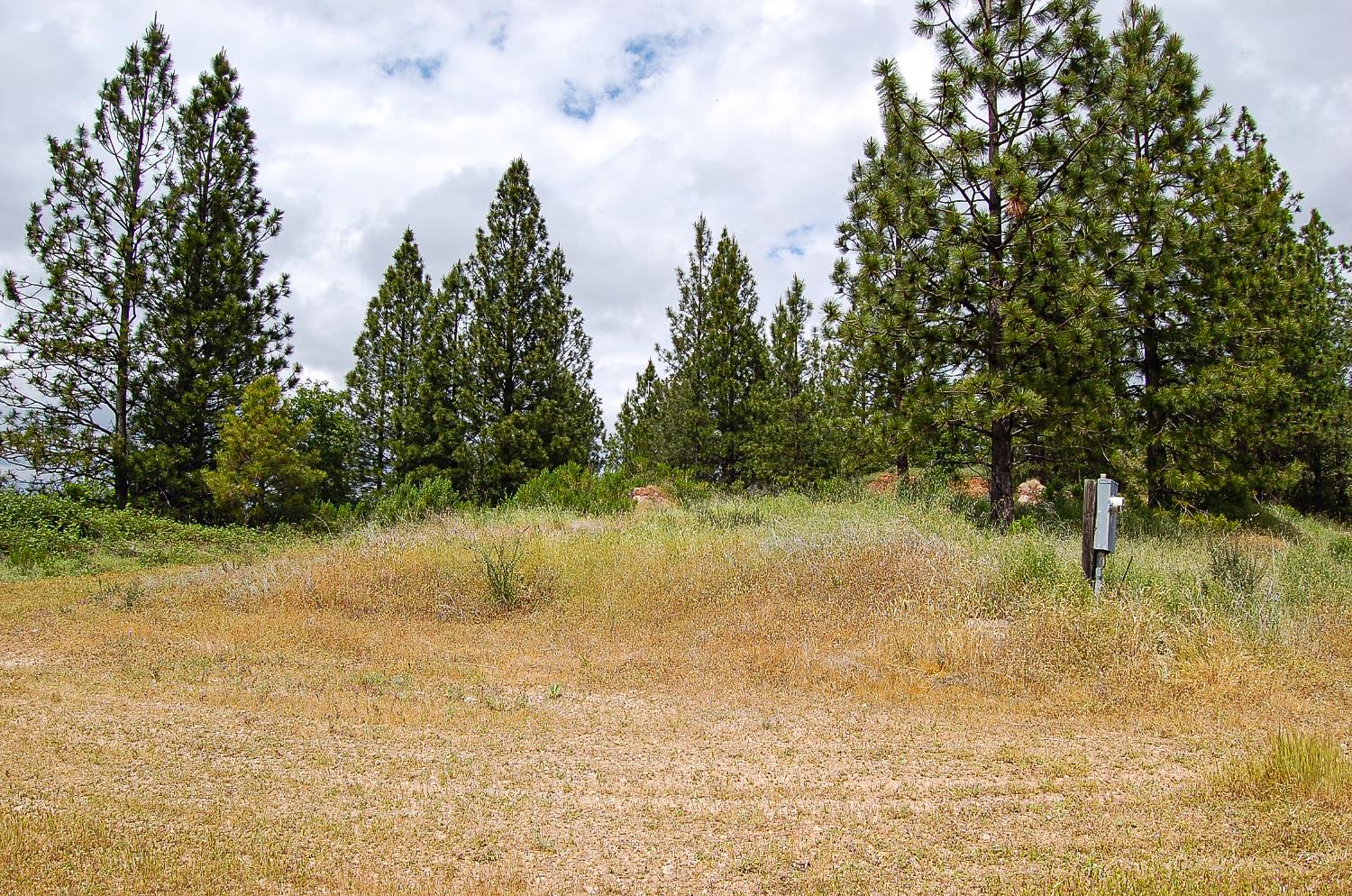 2676 Silver Mountain Road Rail Road Flat, CA 95248 - Photo 59 of 76