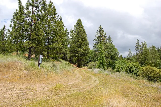 $165,000 | 2676 Silver Mountain Road, Rail Road Flat, CA 95248