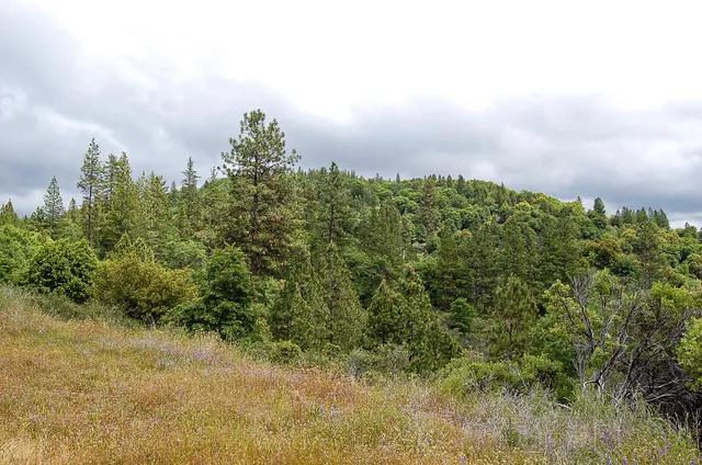 $165,000 | 2676 Silver Mountain Road, Rail Road Flat, CA 95248