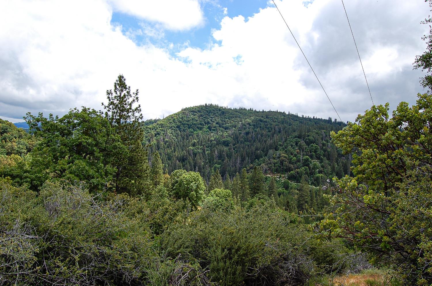 2676 Silver Mountain Road Rail Road Flat, CA 95248 - Photo 62 of 76 a view of a field of grass and trees