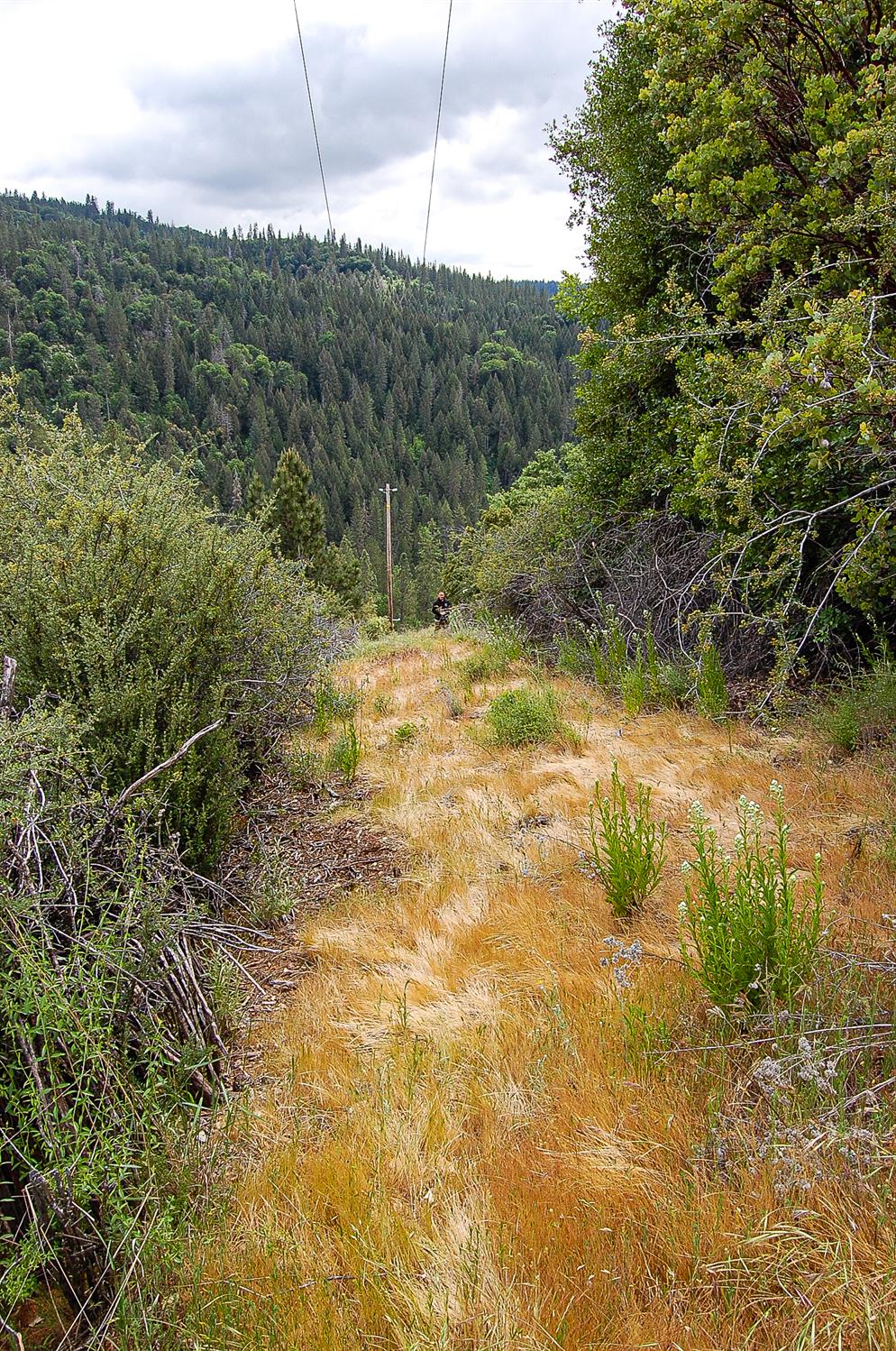 2676 Silver Mountain Road Rail Road Flat, CA 95248 - Photo 63 of 76 a view of a yard with an outdoor space