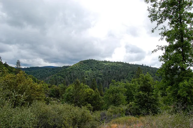 $165,000 | 2676 Silver Mountain Road, Rail Road Flat, CA 95248