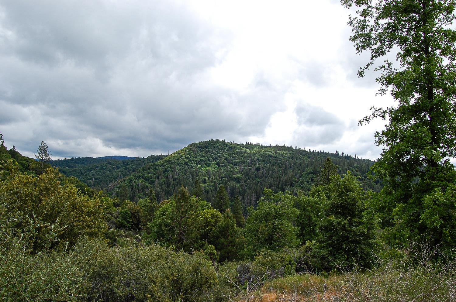 2676 Silver Mountain Road Rail Road Flat, CA 95248 - Photo 67 of 76 an aerial view of houses covered in trees