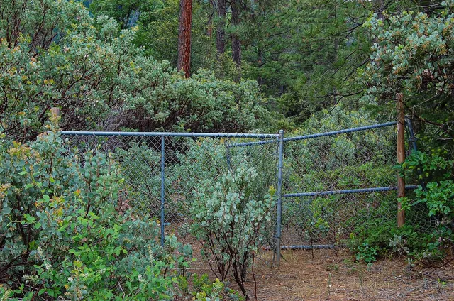 $165,000 | 2676 Silver Mountain Road, Rail Road Flat, CA 95248