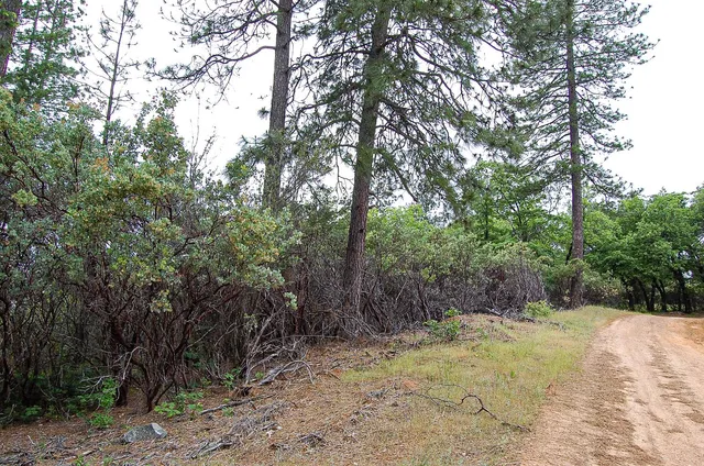 $165,000 | 2676 Silver Mountain Road, Rail Road Flat, CA 95248