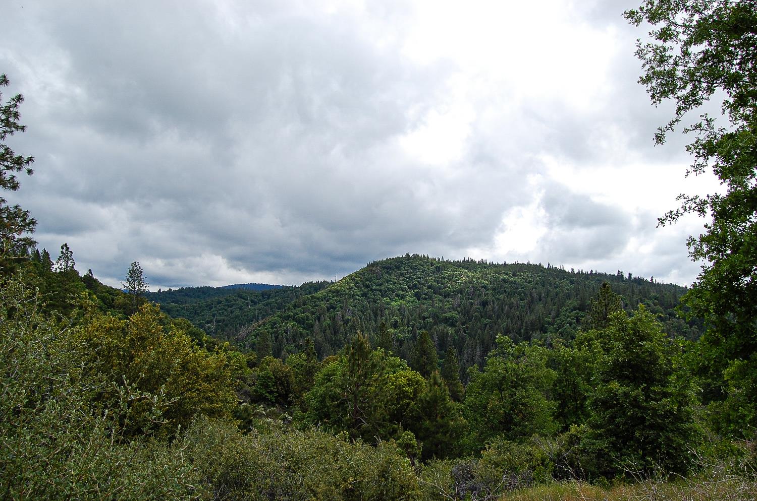 2676 Silver Mountain Road Rail Road Flat, CA 95248 - Photo 72 of 76