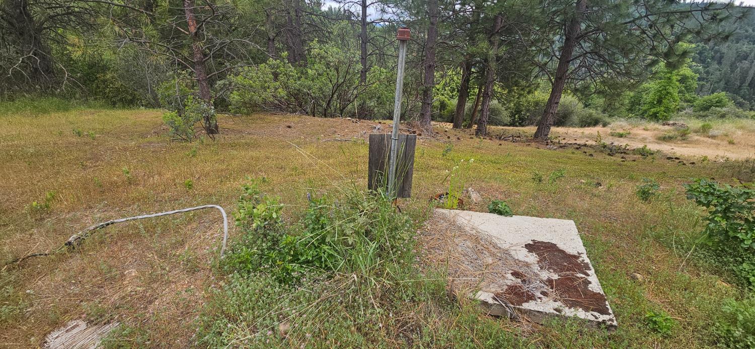 2676 Silver Mountain Road Rail Road Flat, CA 95248 - Photo 75 of 76 a view of a yard with an trees