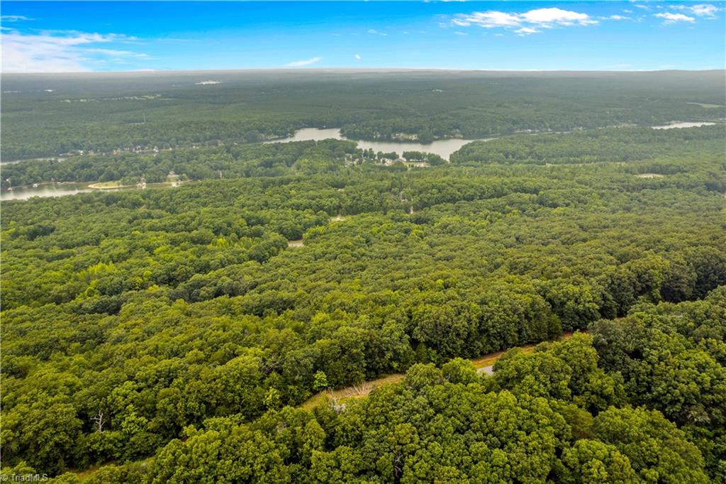 2261 Sierra Trace Road Denton, NC 27239 - Photo 11 of 24