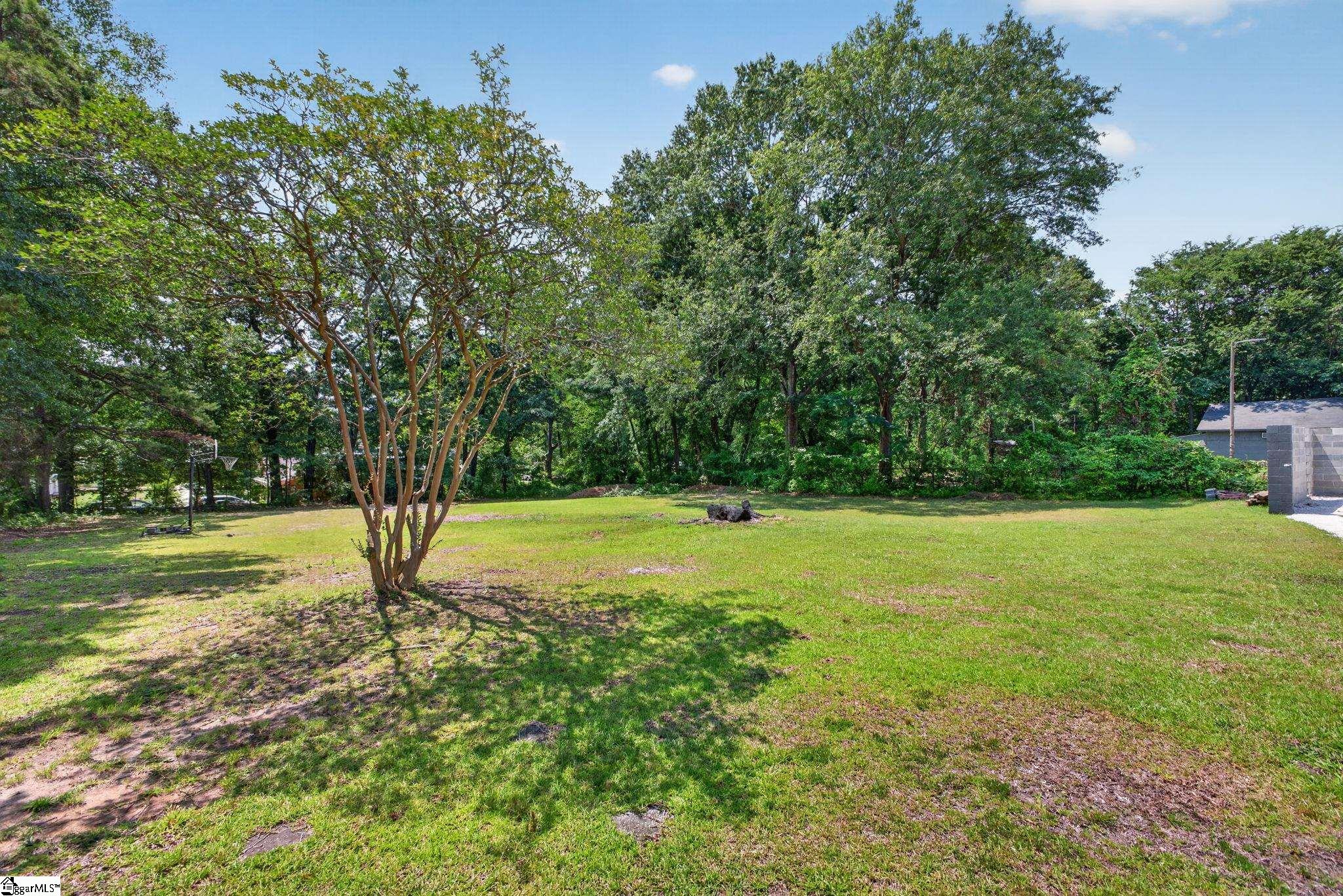 0 Alice Street Greenville, SC 29611 - Photo 3 of 5