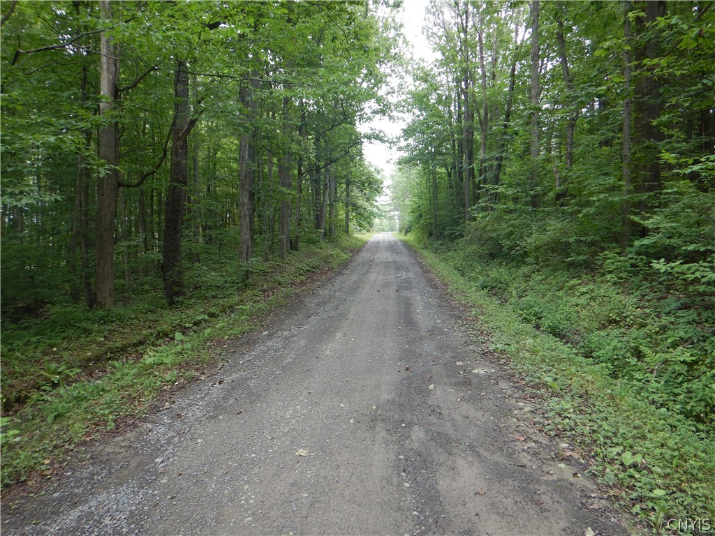 Bull Hill Road Newfield, NY 14867 - Photo 17 of 36