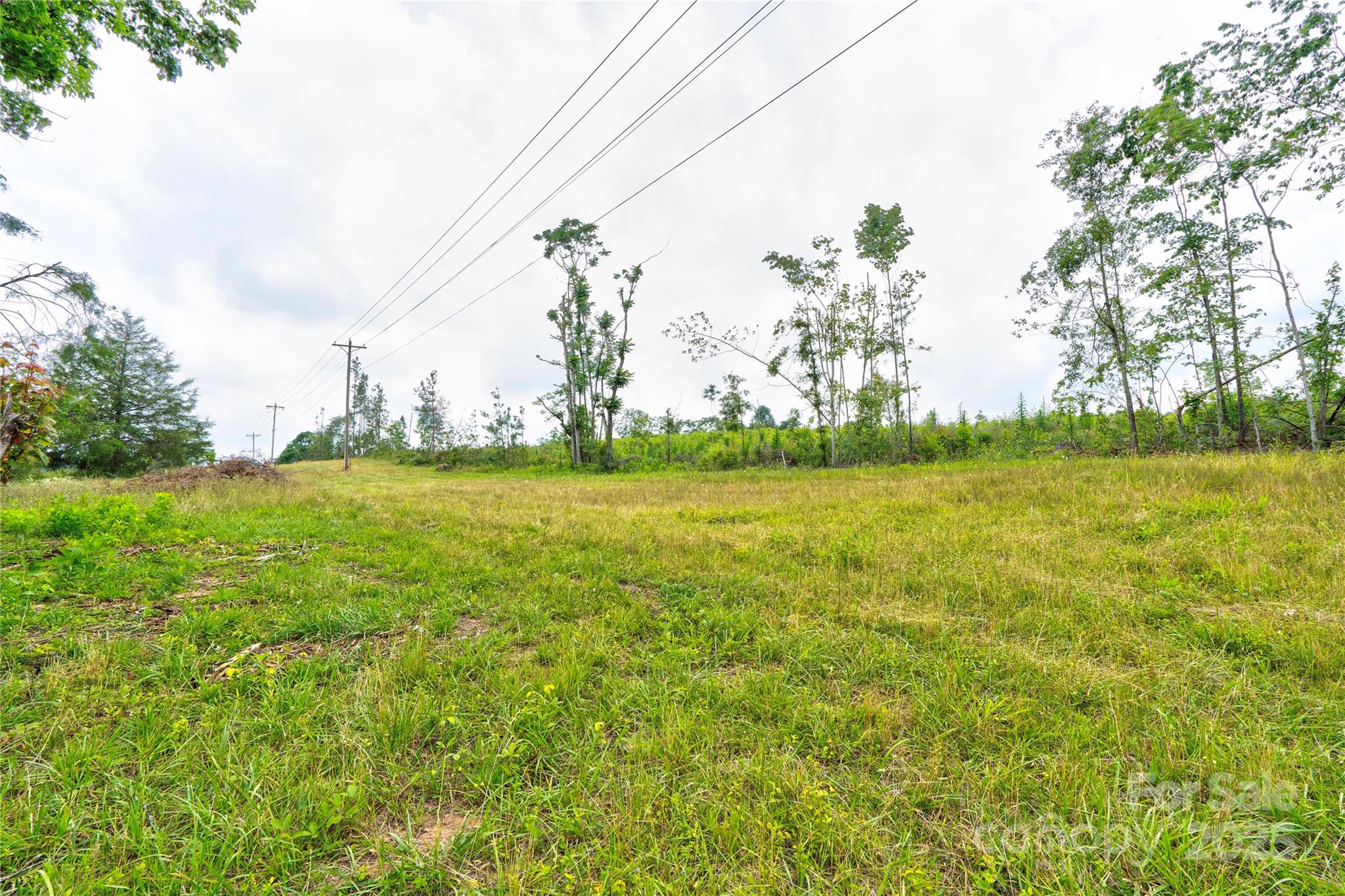 0 Polkville Road Lawndale, NC 28090 - Photo 8 of 9 a view of yard with ocean view